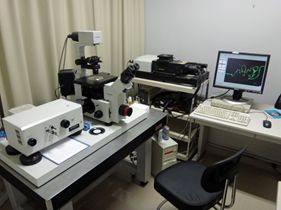 共焦点レーザー顕微鏡 Confocal Laser Microscopy