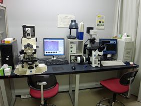 光学・蛍光顕微鏡画像取得システム