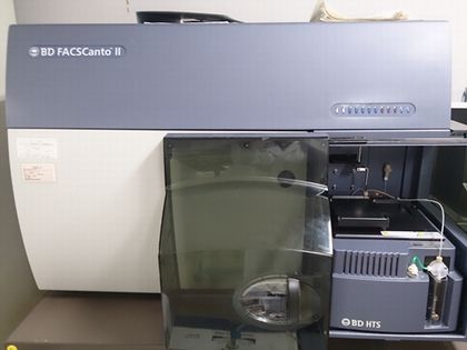 フローサイトメーター Flowcytometer　FACS　CantoⅡ(BD　Biosciences)